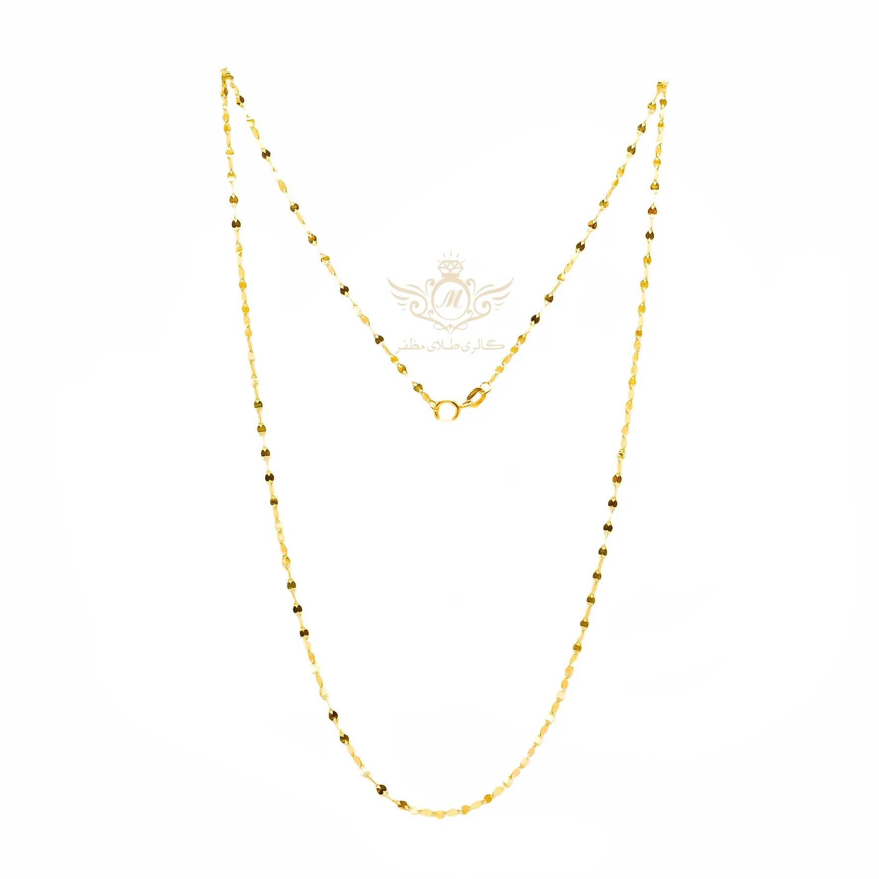 زنجیر پولکی